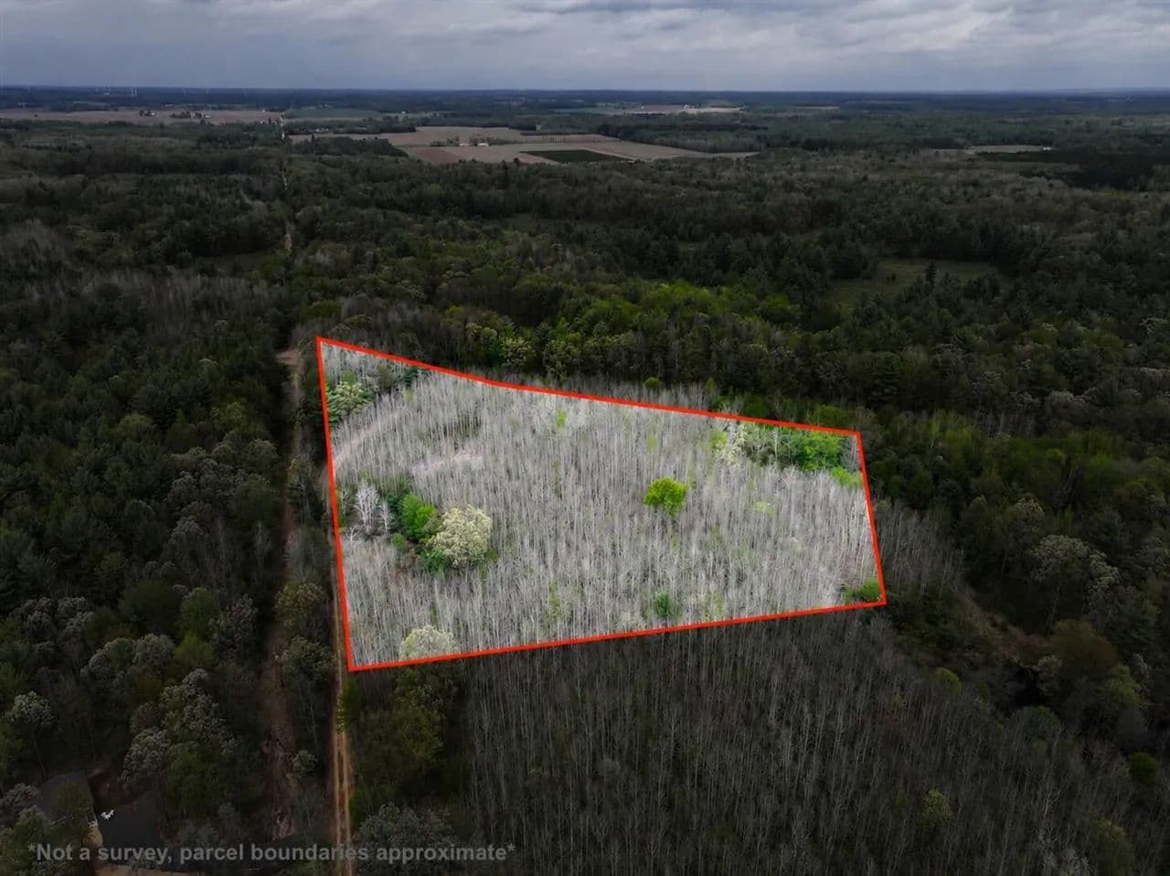 Property from V/L 6.62A W Jefferson - KW - Hart, Michigan, 49420
