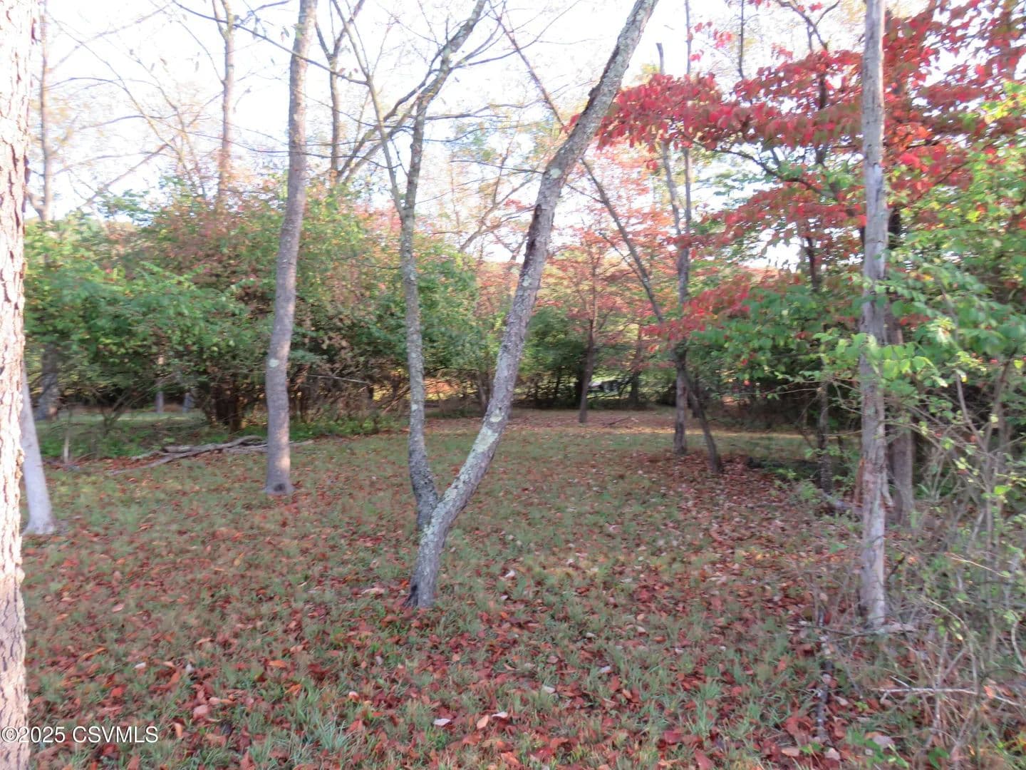 Property from VALLEY WEST Road - KW - Danville, Pennsylvania, 17821