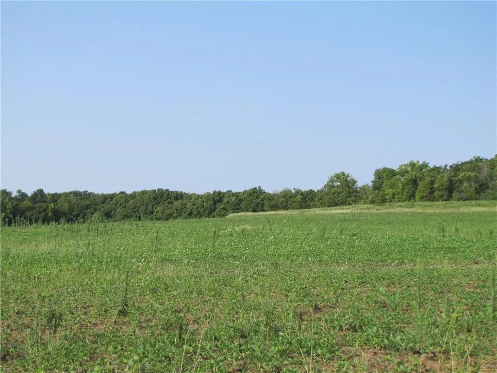 Property from S S State Route D - KW - Drexel, Missouri, 64742