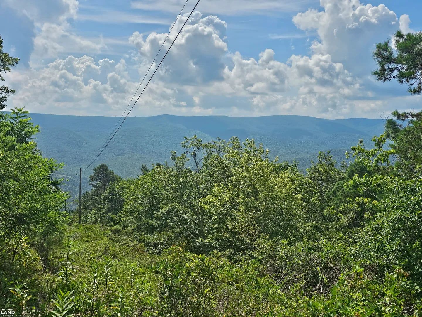 5 Acres of High County Solitude - Monterey, Virginia, 24465