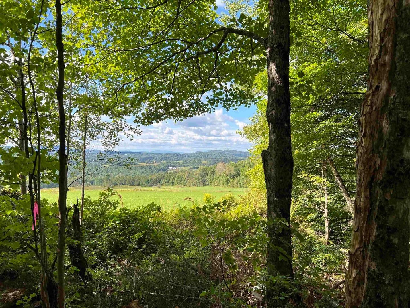 Property from 0 Danville Hill Road - KW - Cabot, Vermont, 5647