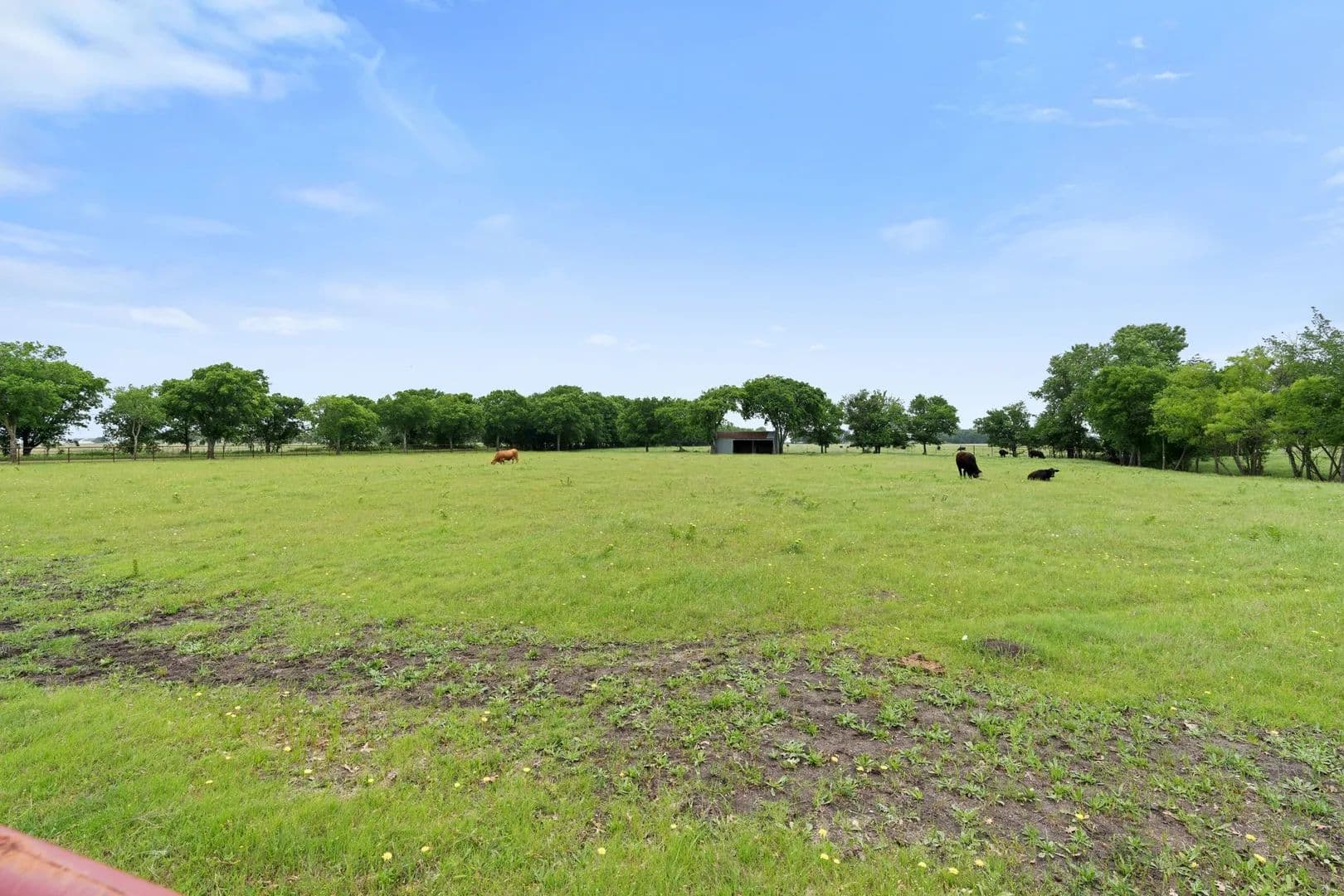 Property from 257 Bud Run - KW - Waxahachie, Texas, 75165