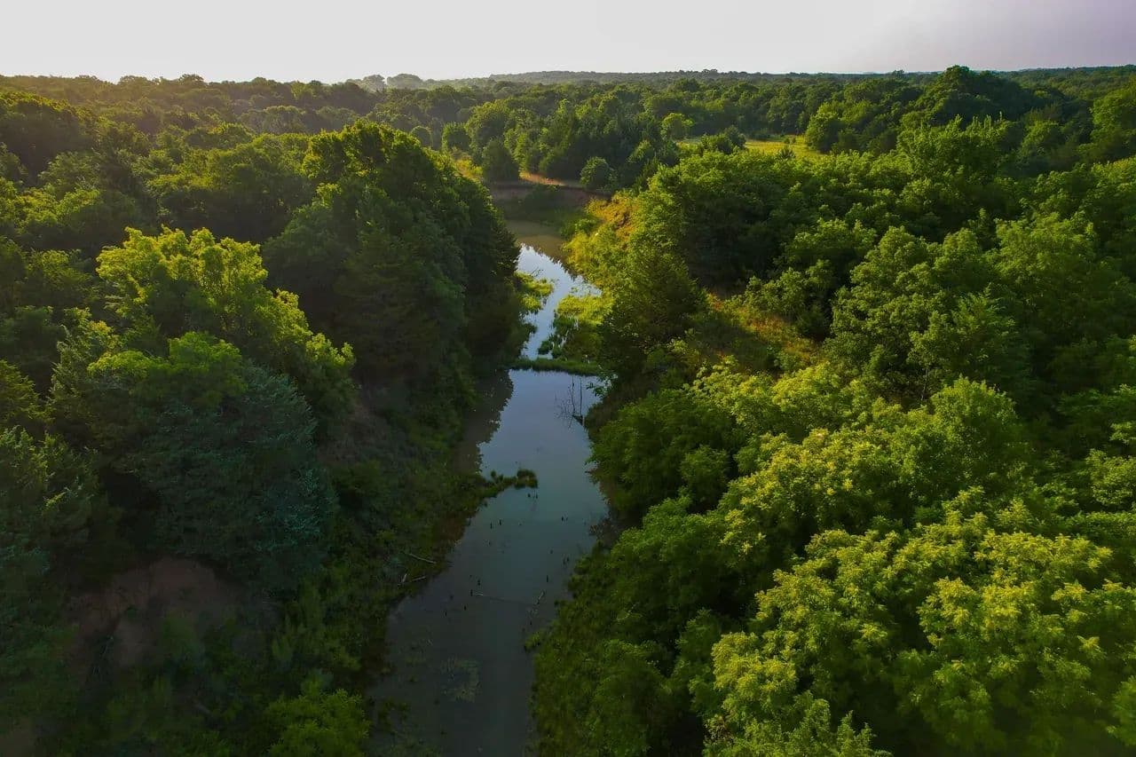 144 Acre Premier Cross Timbers Hunting & Homesite Ranch - land for sale