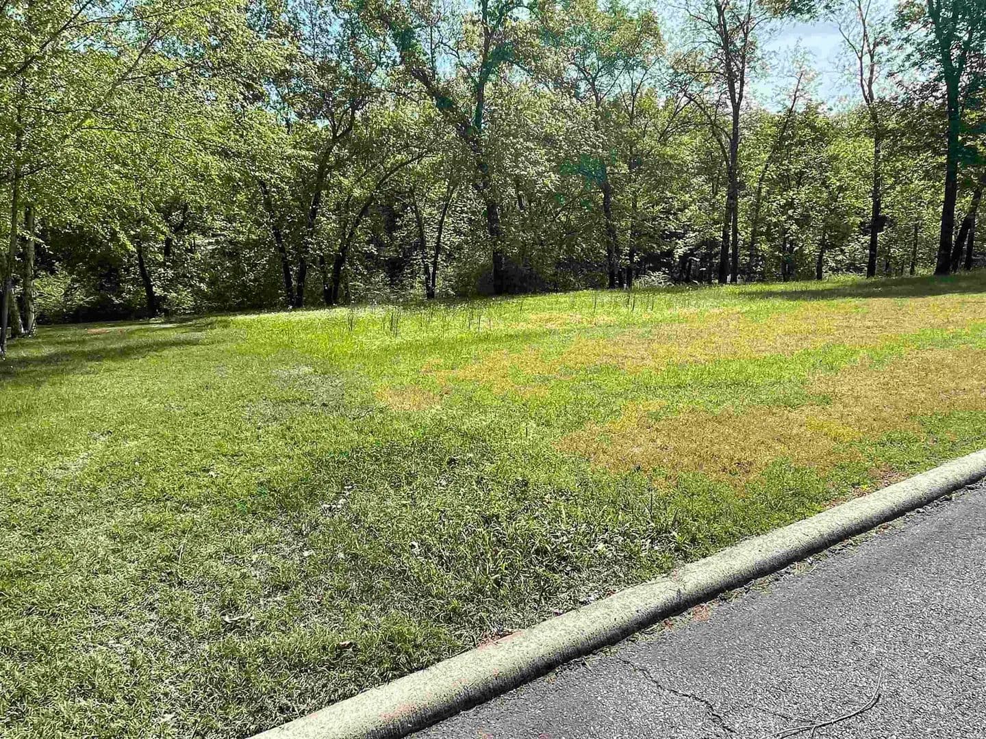 0.3 Acres of Land for Sale in Heber Springs, AR - Heber Springs, Arkansas, 72543