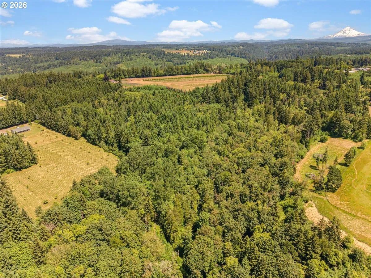20.05 Acres of Land for Sale in Estacada, Oregon - Estacada, Oregon, 97023