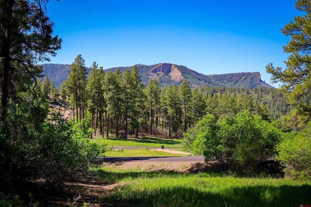 Property from 379 Ironwood Drive - KW - Pagosa Springs, Colorado, 81147
