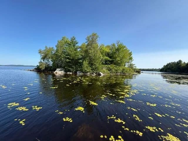 0.5 Acres of Land for Sale in Meddybemps, Maine - Meddybemps, Maine, 04657