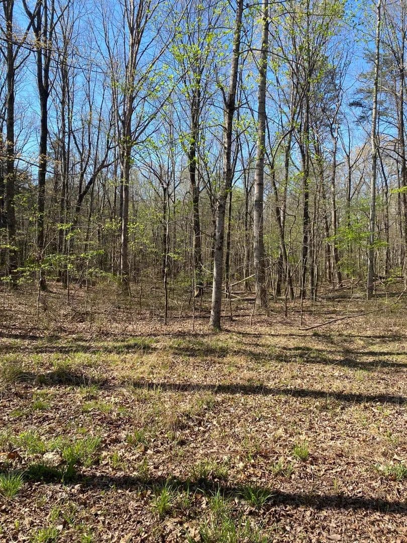 Property from 362 Haynes Road - KW - Sewanee, Tennessee, 37375