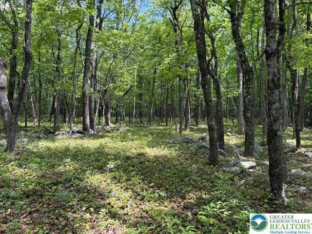 Property from Lot 250-Maple Lane - KW - Jim Thorpe, Pennsylvania, 18229