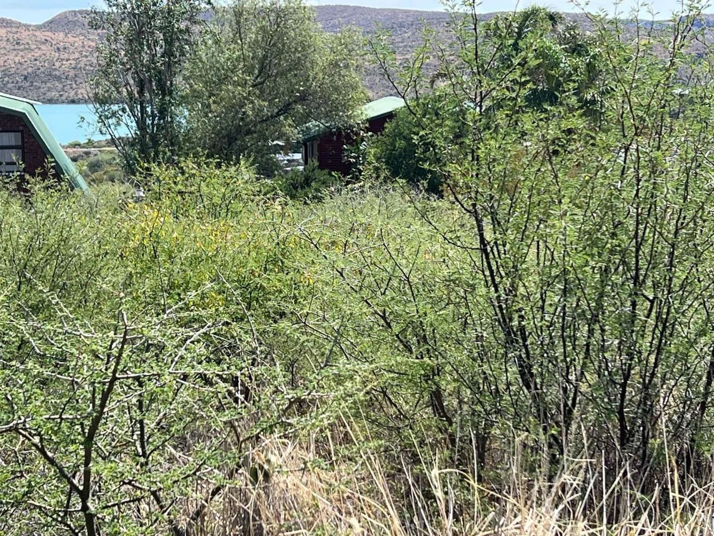 655 Acres of Land for Sale in Philipstown, Northern Cape - land for sale
