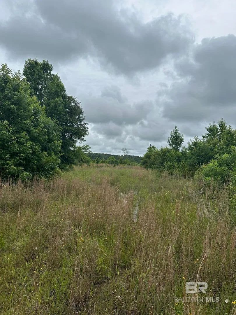Property from 0 E County Road 214 - KW - Selma, Alabama, 36701