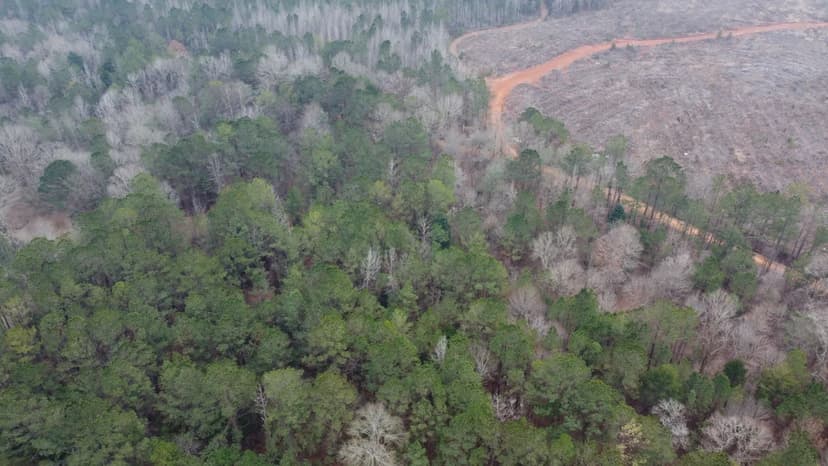 Nice Hunting/Timber Tract