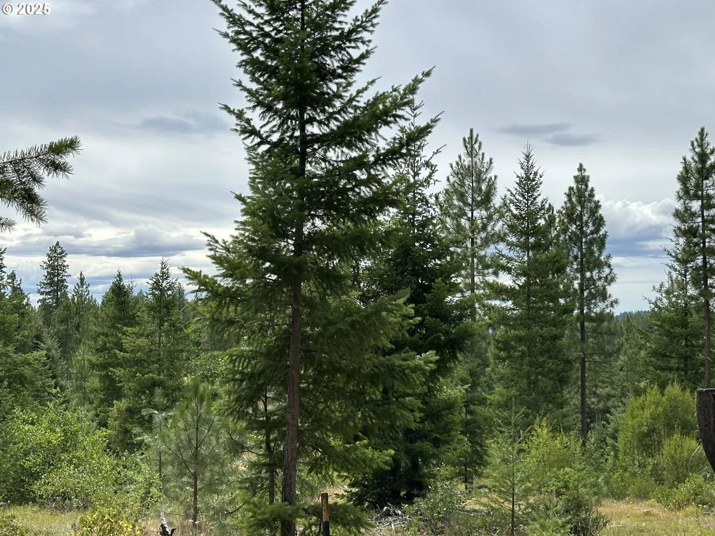 18.37 Acres of Land for Sale in Goldendale, Washington - Goldendale, Washington, 98620