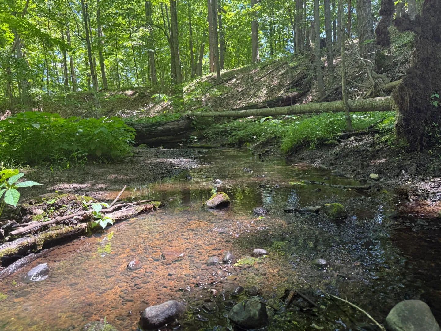 Hagerman Road – Addison Township 60 Acres - land for sale