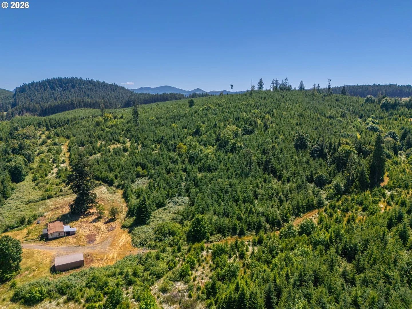 79.46 Acres of Land for Sale in Lebanon, OR - Lebanon, Oregon, 97355
