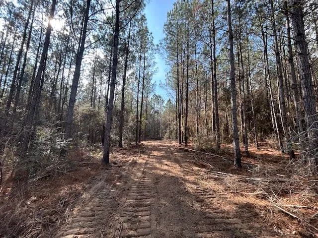 11 Acres | Magnolia, MS