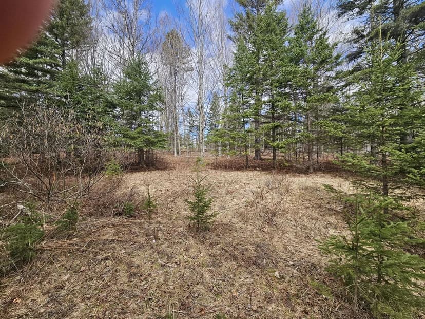 Land -Single Family Acreage in Rangeley