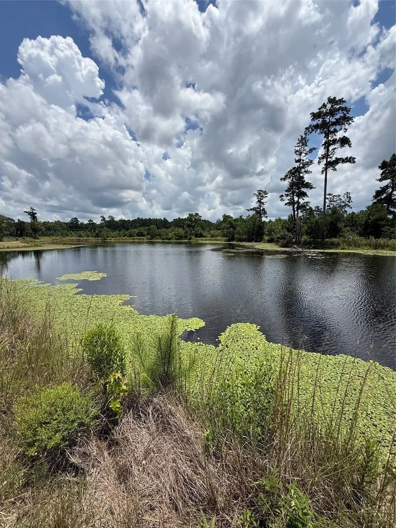 Property from 285 Fm-1725 - KW - Cleveland, Texas, 77328