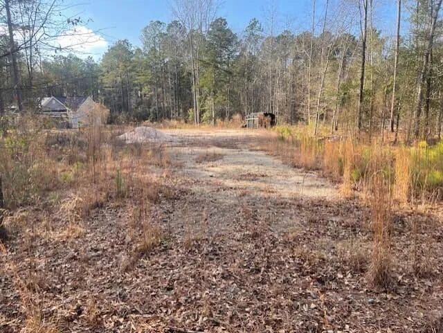 0.95 Acres of Land for Sale in Stapleton, Georgia - Stapleton, Georgia, 30823