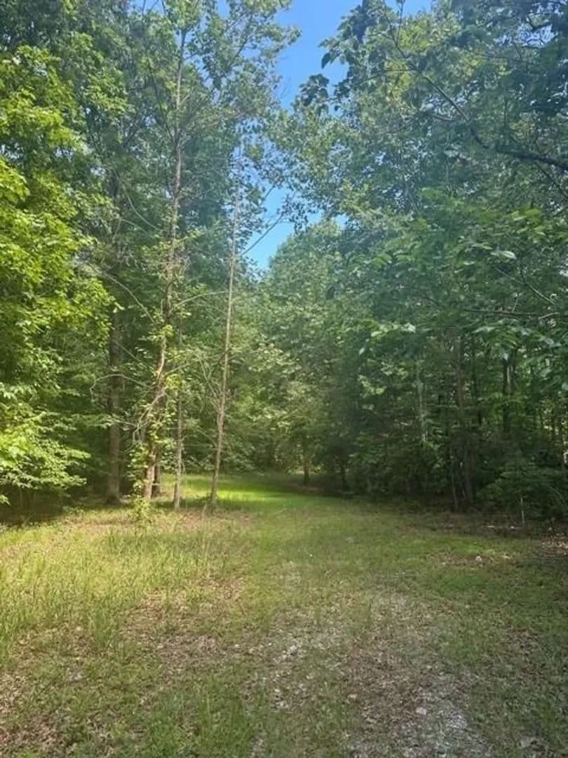 Escape to the peace and privacy of rural Grundy County with this beautiful 5.01+/-acres - Altamont, Tennessee, 37301