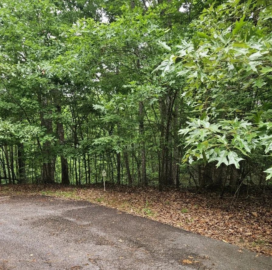 Property from 2290 chicory Court - KW - Westminster, South Carolina, 29693
