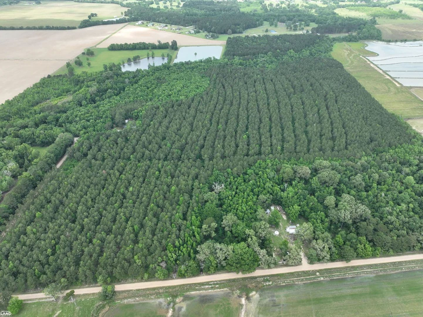 Ville Platte Timber Investment - Hunting - Rural Homesite - Ville Platte, Louisiana, 70586