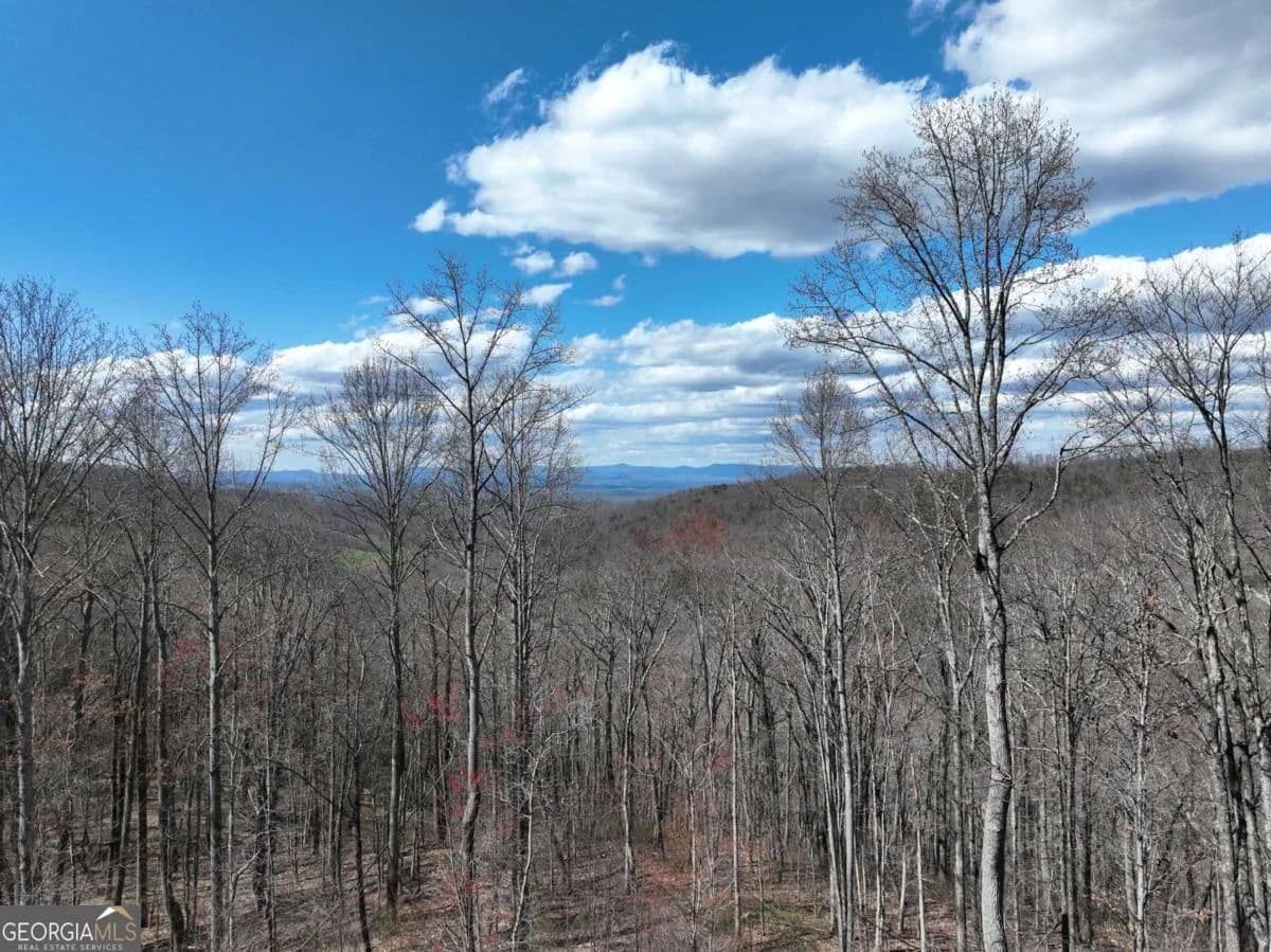 3.67 Acres of Land for Sale in Ellijay, Georgia - Ellijay, Georgia, 30536