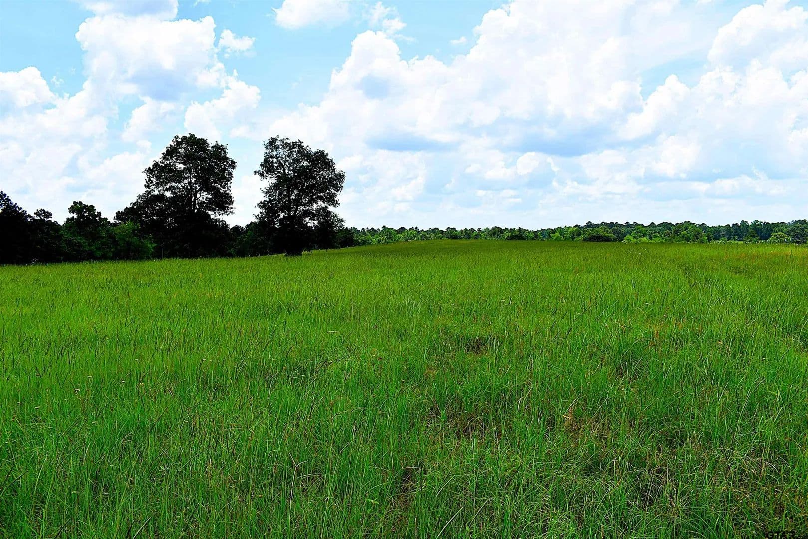 Property from 8034 CR 212 #8034 CR 212 - KW - land for sale
