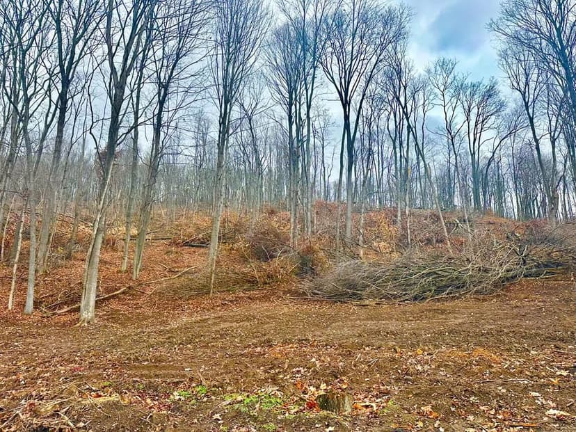 Lots & Land-Other in Bainbridge