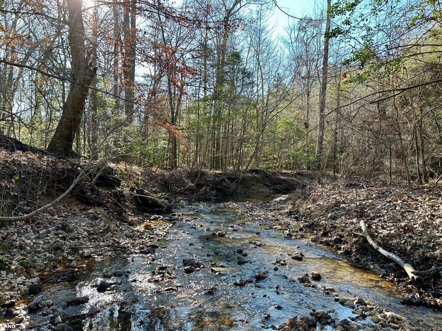 Copper Salt Creek Hunting & Timber Investment - Toxey, Alabama, 36921