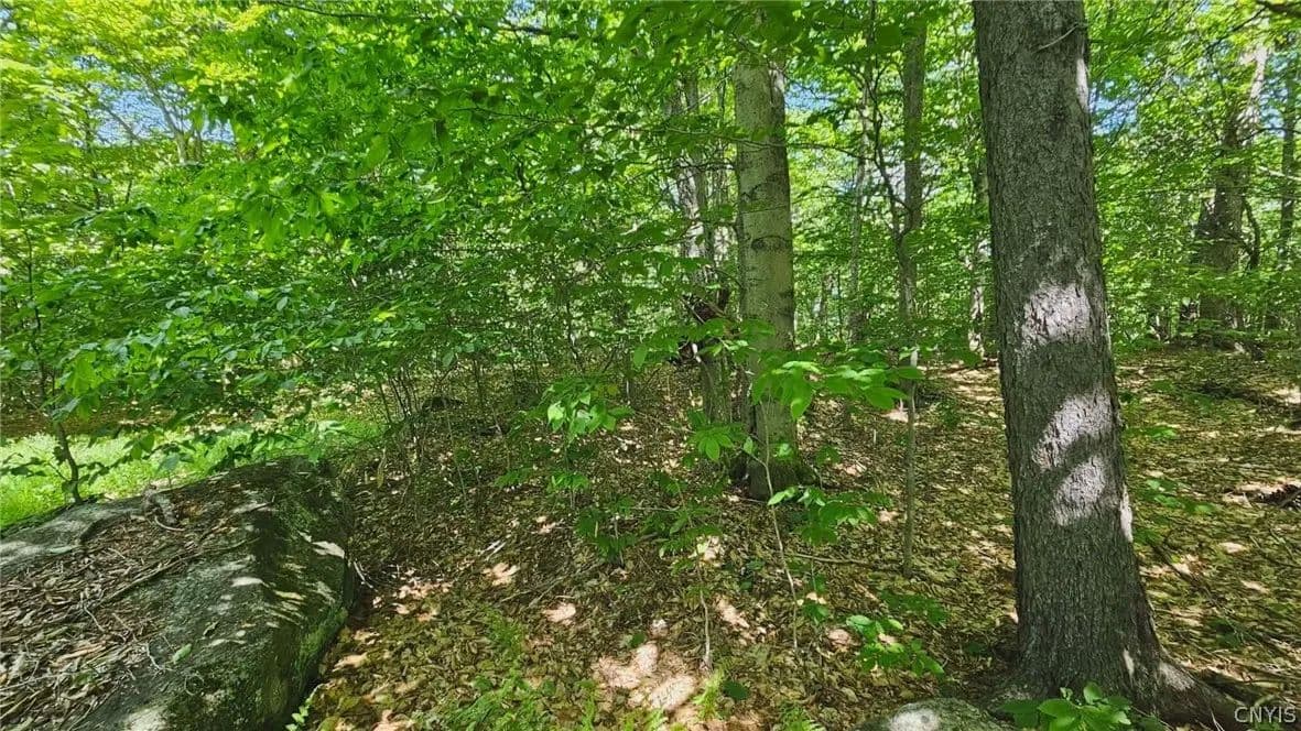 Property from Summit Place - KW - Old Forge, New York, 13420