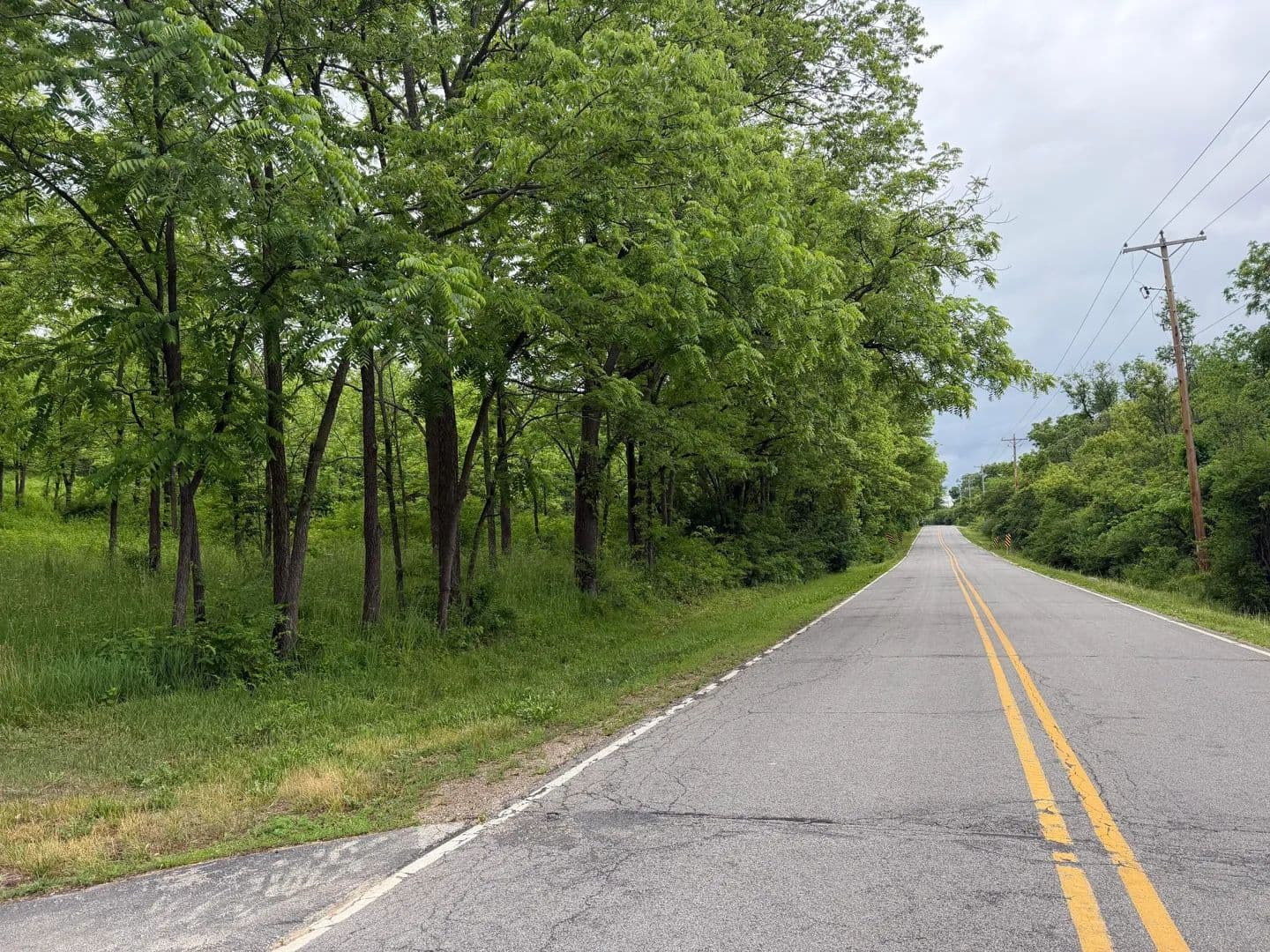 6 Acres of Land for Sale in Geneva, Wisconsin - Geneva, Wisconsin, 53147