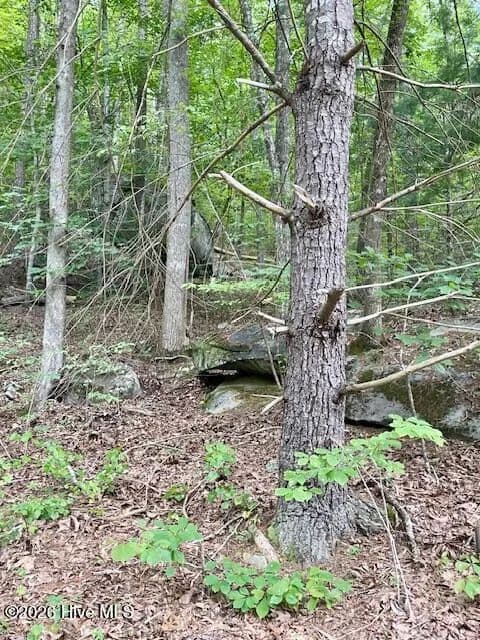 0.28 Acres of Land for Sale in Murphy, North Carolina - land for sale