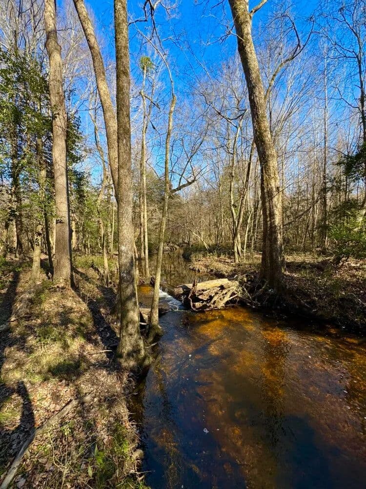 Spring Branch Home-site, Timber & Recreational Land - Kenly, North Carolina, 27542