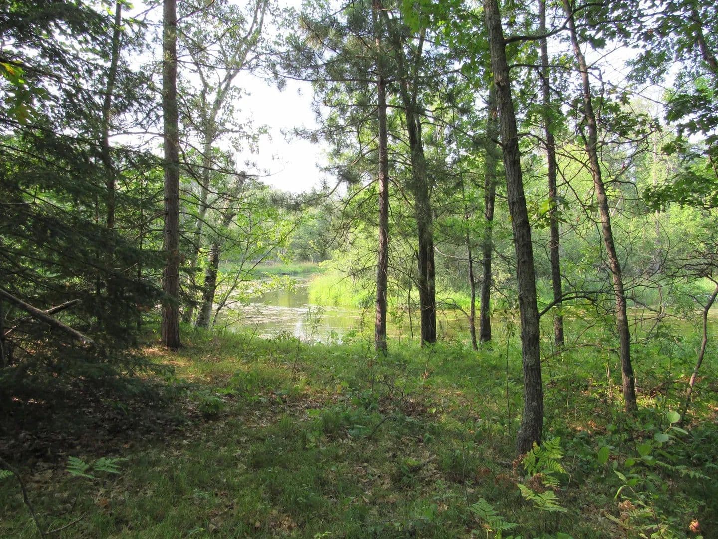 Property from LOTS 5-11 TBD FRONT STREET FRONT STREET - KW - Pine River, Minnesota, 56474