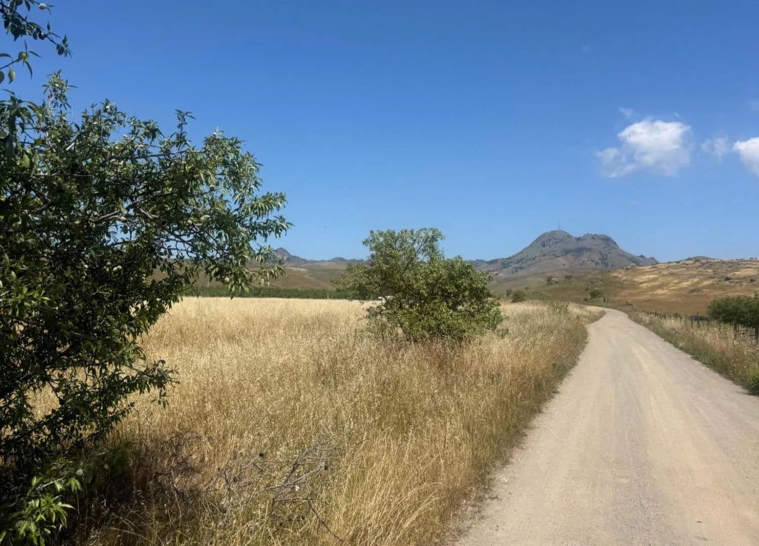 Property from 11311 S Butte Road - KW - Sutter, California, 95982