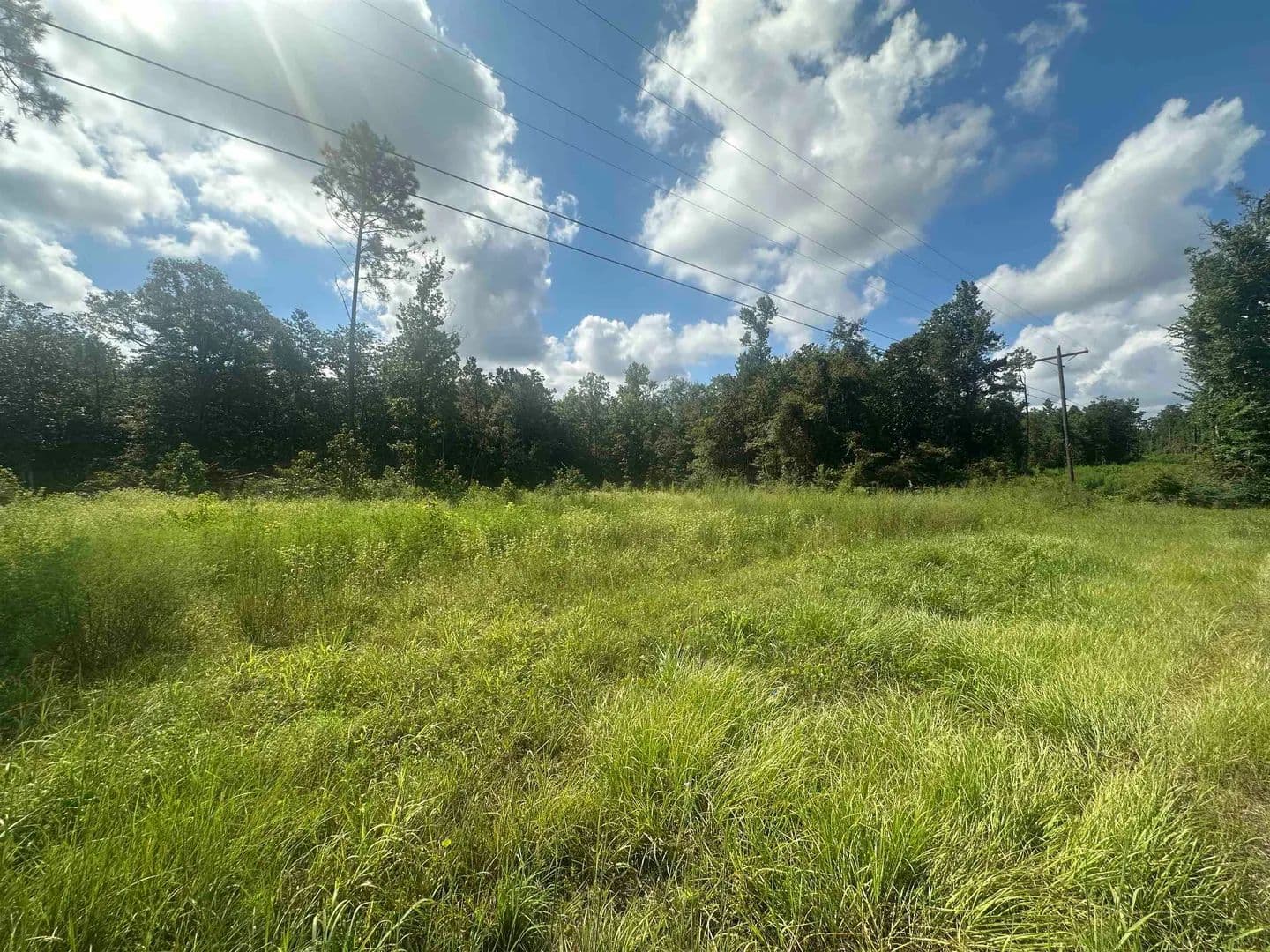 17.65 Acres of Land for Sale in Jasper, Texas - Jasper, Texas, 75951