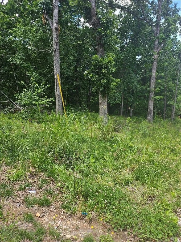 Lots & Land-Other in Bella Vista - Bella Vista, Arkansas, 72715