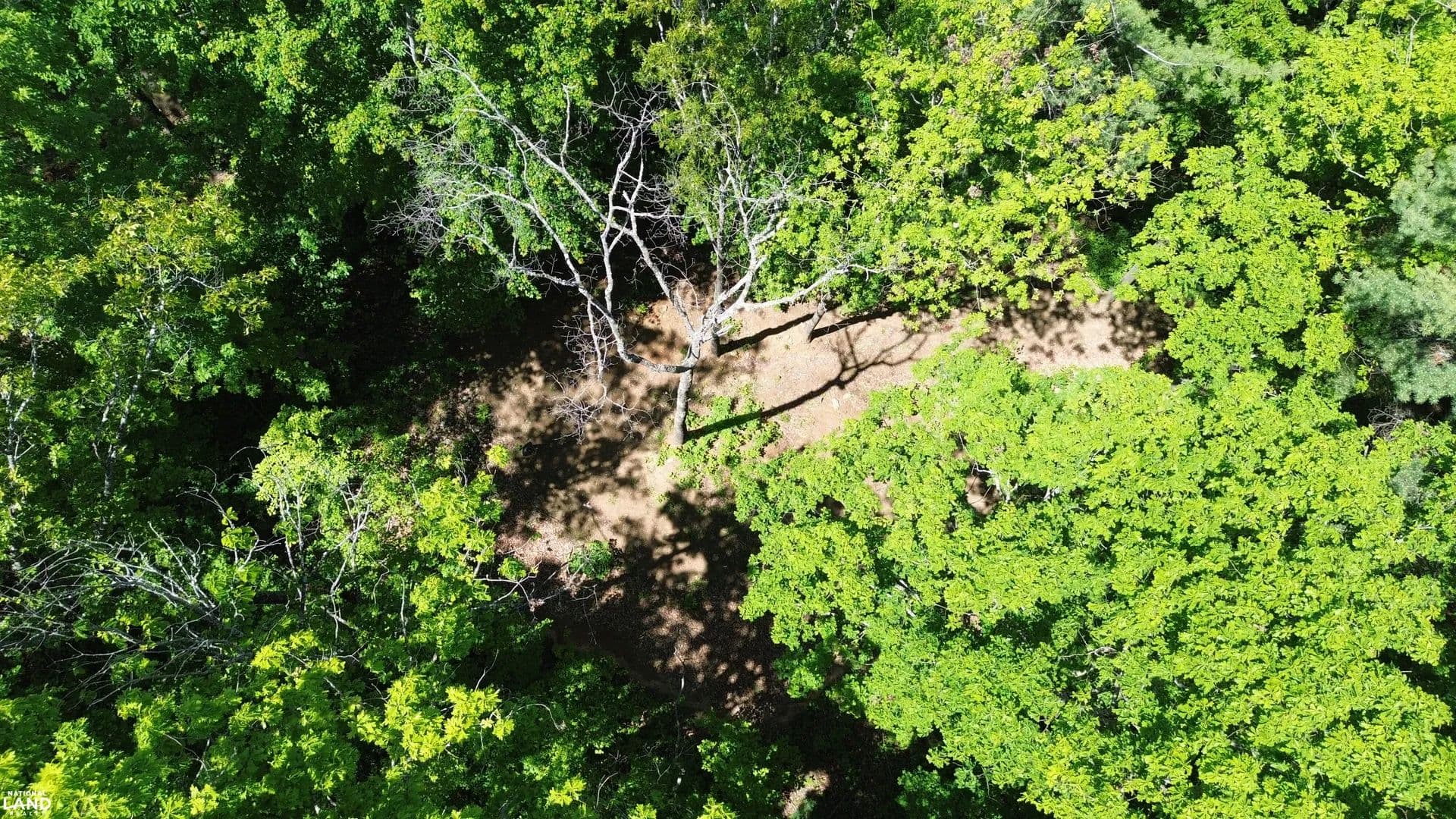 Wooden Mountain Homesite - Weaverville, North Carolina, 28787
