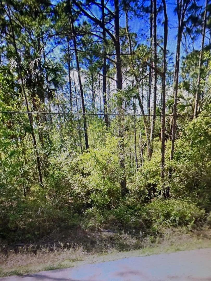 Property from 2184 Laure Avenue - KW - Florida, 32110