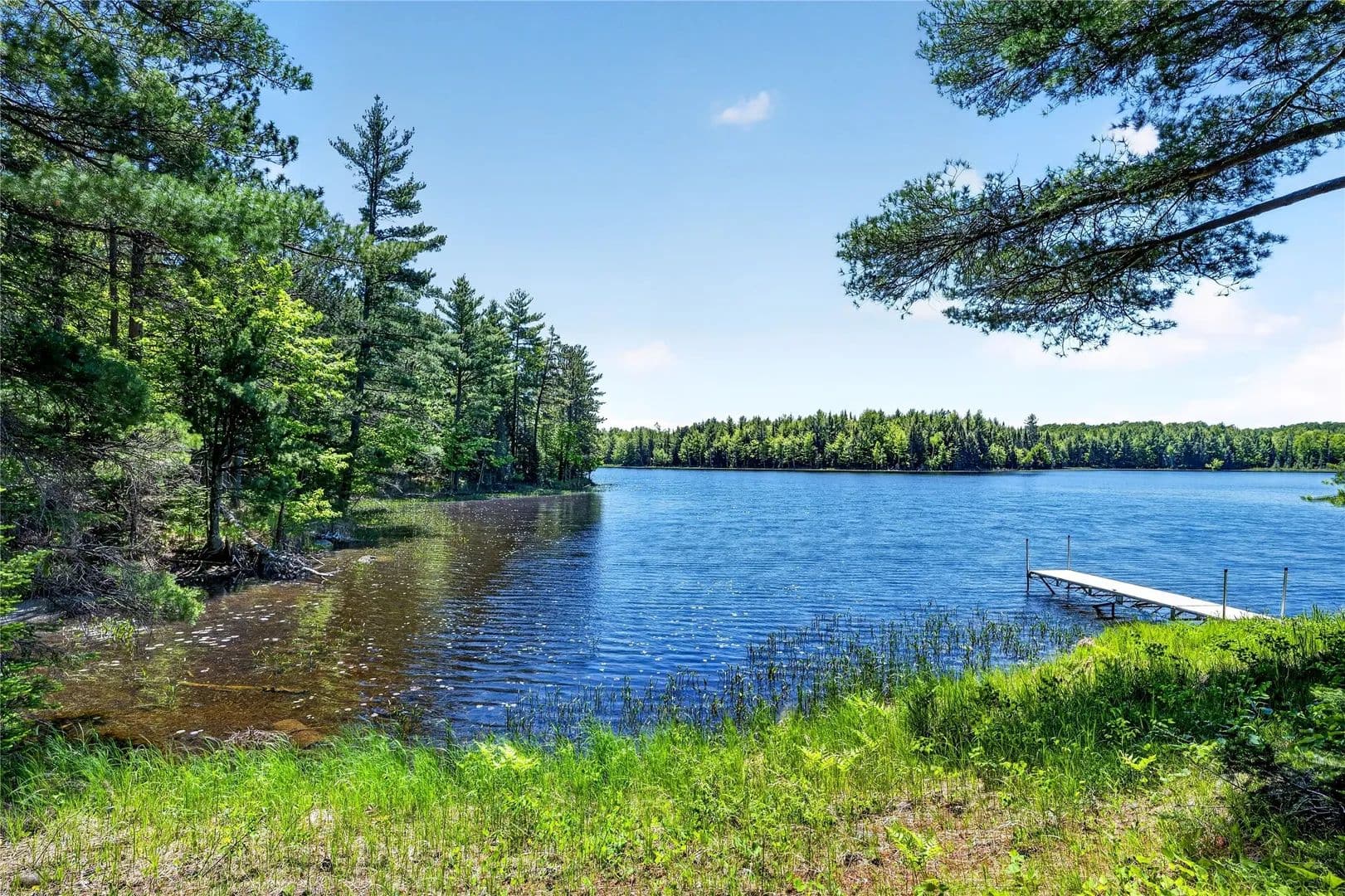 37.86 Acres of Land for Sale in Cable, Wisconsin - Cable, Wisconsin, 54821