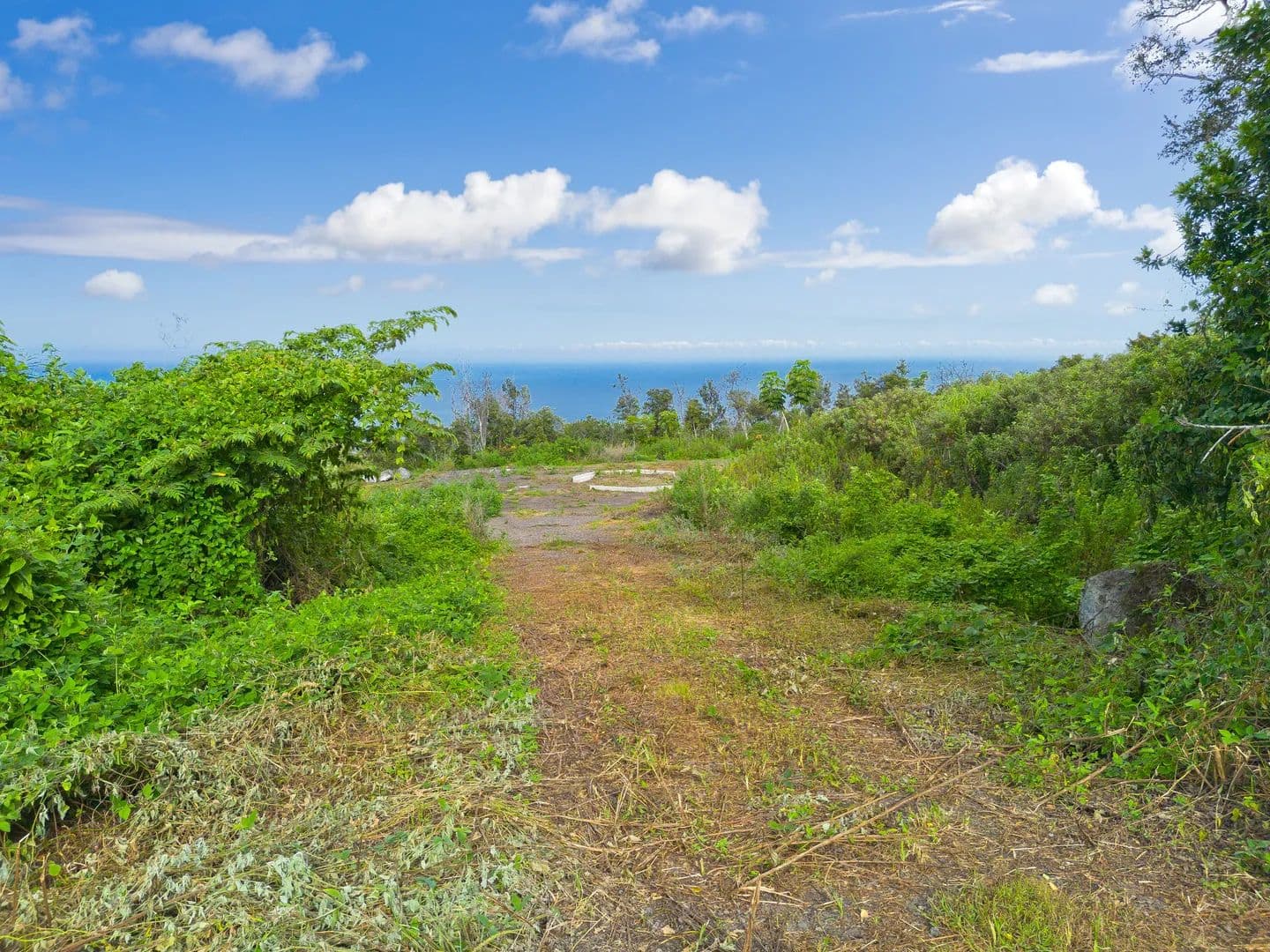 Vacant Land in Captain Cook - Captain Cook, Hawaii, 96704