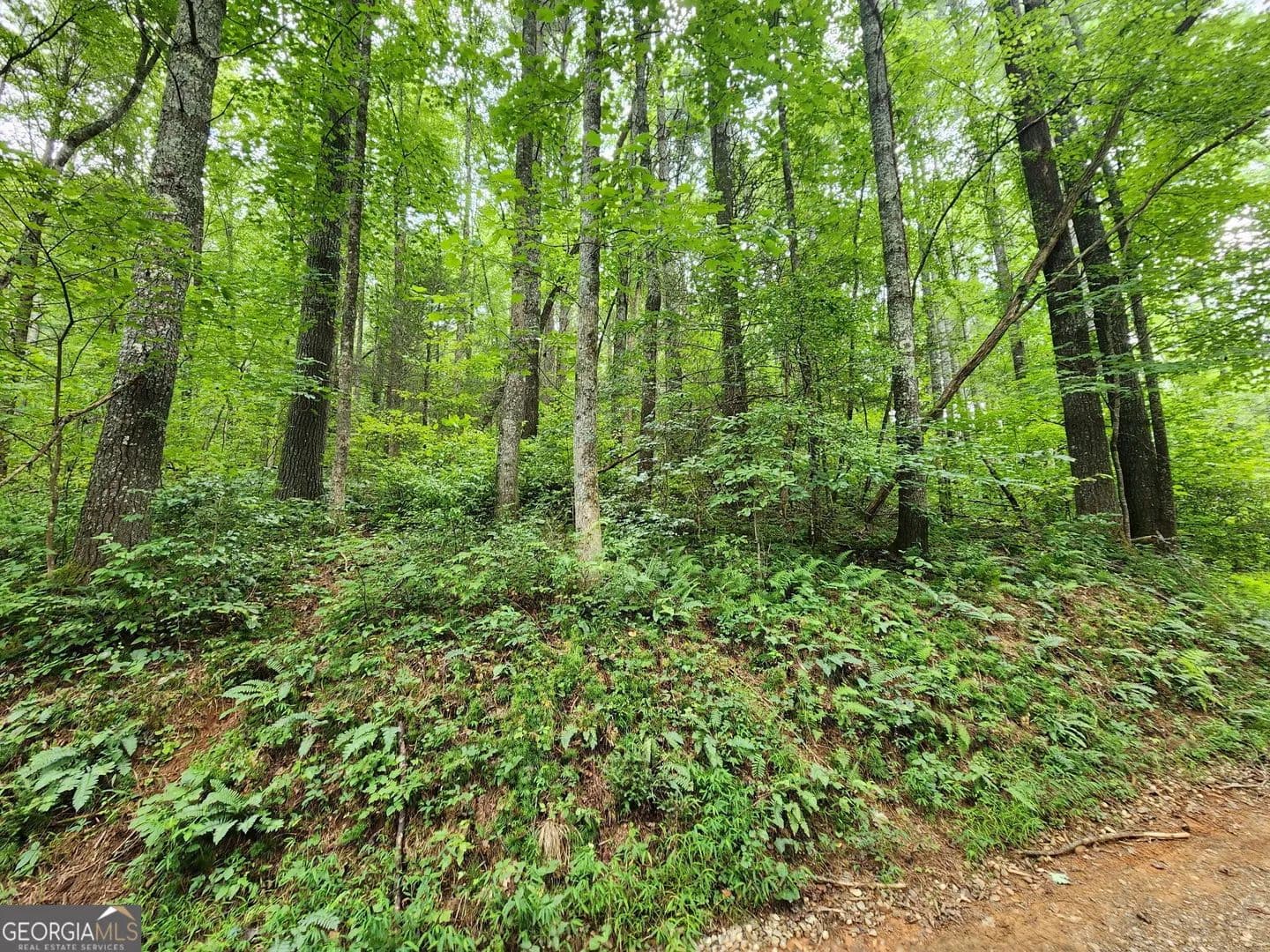 Property from TRACT 2A Poplar Cove Trail - KW - land for sale