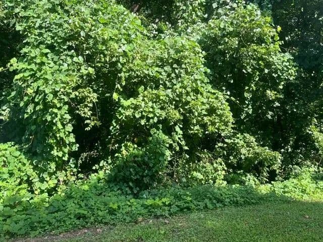 Land -Agricultural (Not Zoned) in Soddy Daisy - Soddy Daisy, Tennessee, 37379