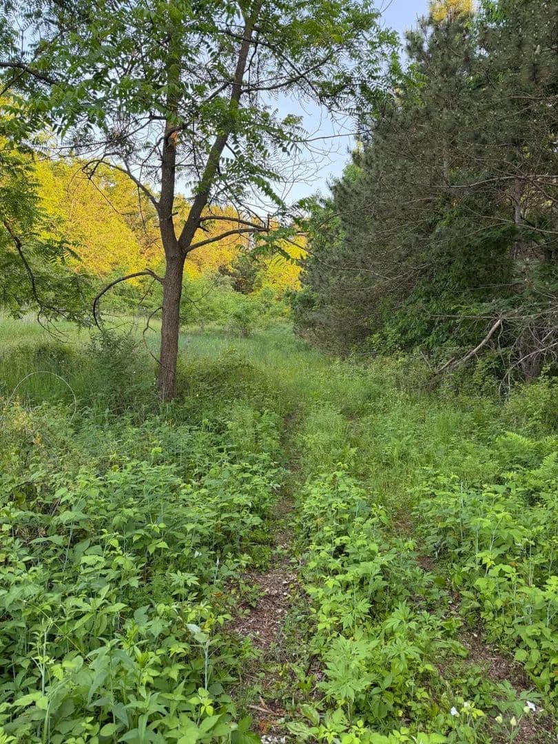 15 Acres of Land for Sale in Burns, Wisconsin - Burns, Wisconsin, 54614