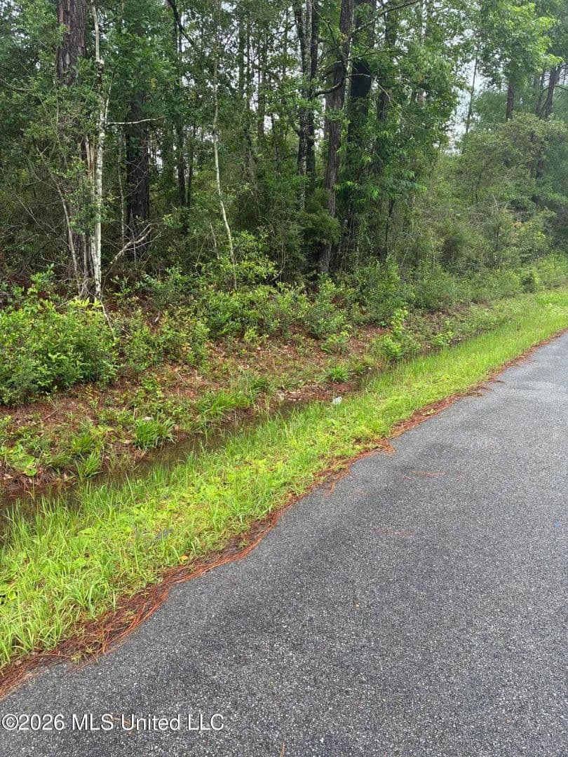 Property from Lot 6 Presley Road - KW - Moss Point, Mississippi, 39562