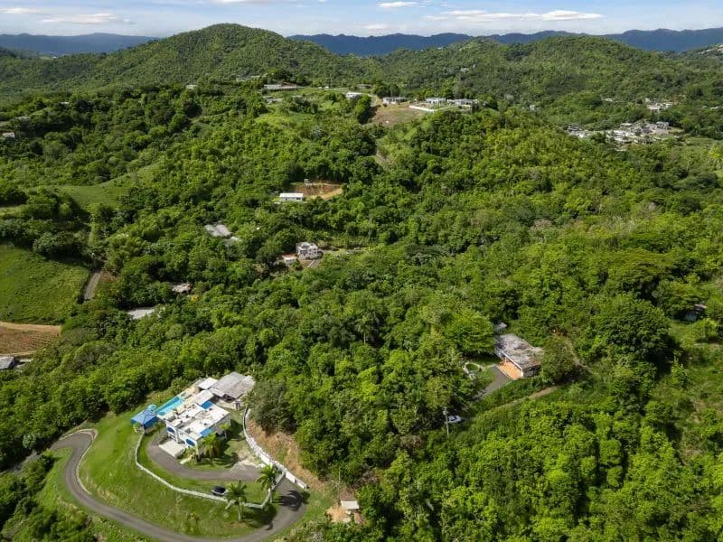 36881 Acres of Land for Sale in San Lorenzo - Puerto Rico