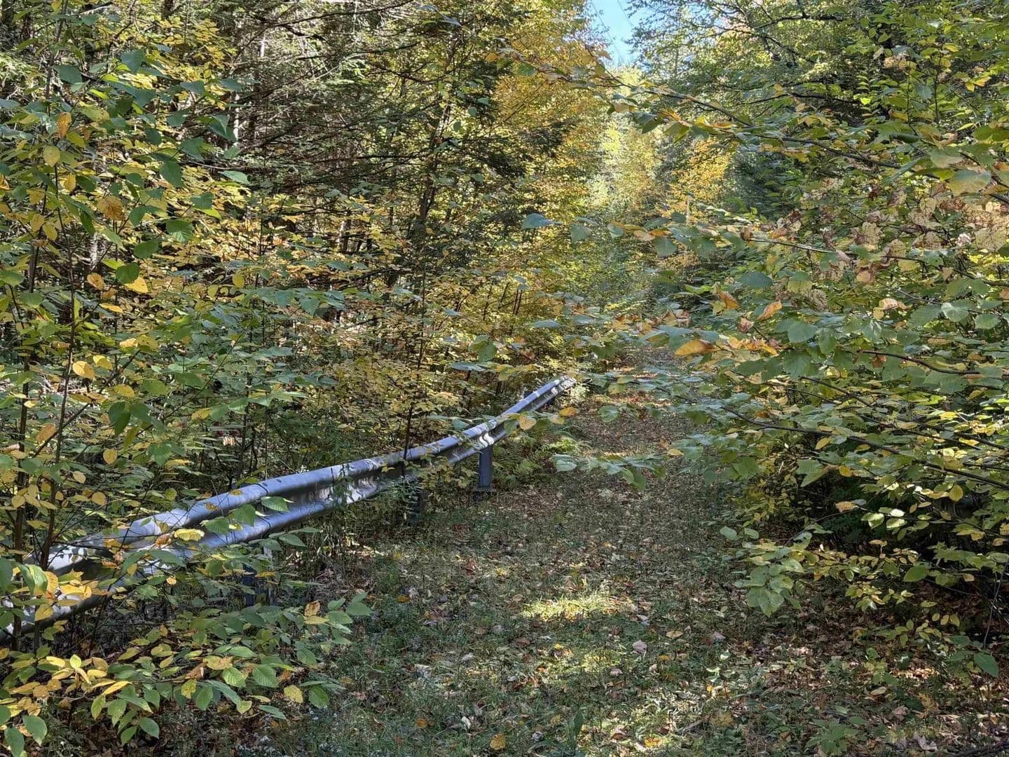 Vacant Land in Keene - land for sale