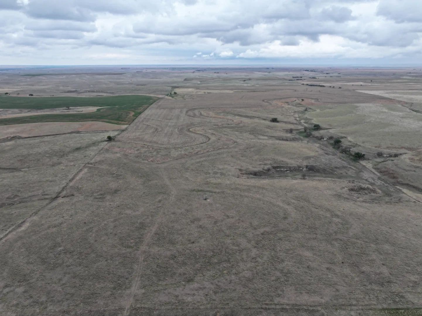 Dryland and Pasture for Sale | 158+/- Acres | Norton County, KS - Clayton, Kansas, 67629