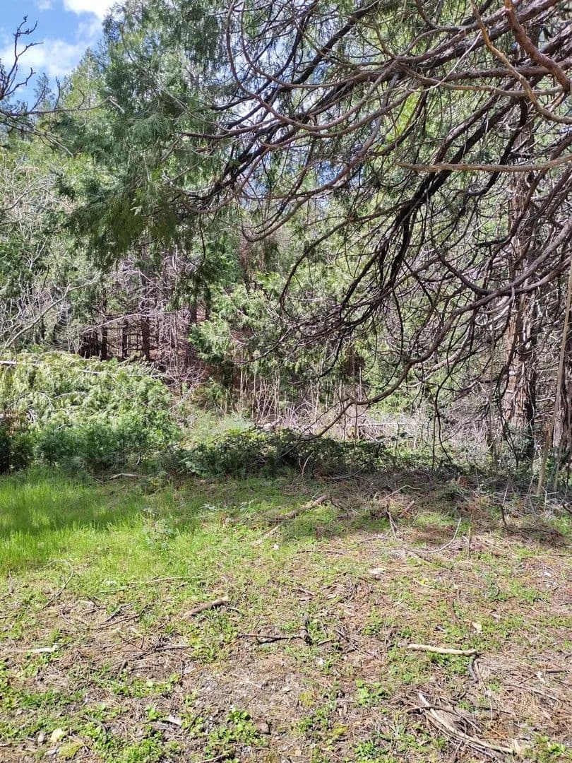 Property from 6141 State Highway 193 - KW - Georgetown, California, 95634